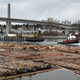Illustration for article titled Pics from the Curbside: 2018-03-25 to St. Edwards Crossing